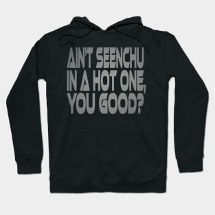 Ain't Seenchu in a Hot One, You Good? Idium Series Hoodie